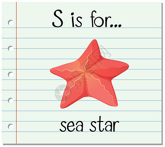 抽认卡字母 S 是给海员的绘画小号情调字体星星纸板卡片海星生物闪光设计图片