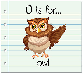 读书的猫头鹰抽认卡字母 O 代表 ow阅读刻字生物夹子教育哺乳动物卡片野生动物插图热带设计图片