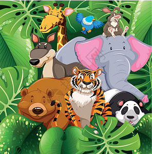 热带剪贴画公交车上的野生动物异国艺术风景熊猫哺乳动物丛林绘画动物园热带夹子插画
