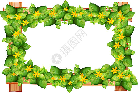叶子和花的框架设计背景图片