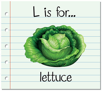 绿叶生菜抽认卡字母 L 代表生菜热带拼写教育闪光大号写作插图刻字夹子树叶设计图片