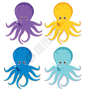 四种不同颜色的章鱼背景图片