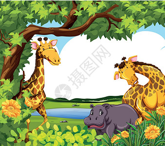 pon 的长颈鹿和河马插画