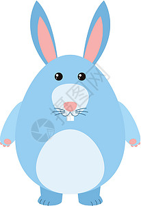在白色背景上的蓝色兔子背景图片