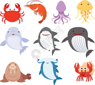 海象许多类型的海洋生物插画