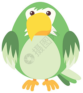 绿翅金刚鹦鹉白色背景上的绿鹦鹉插画