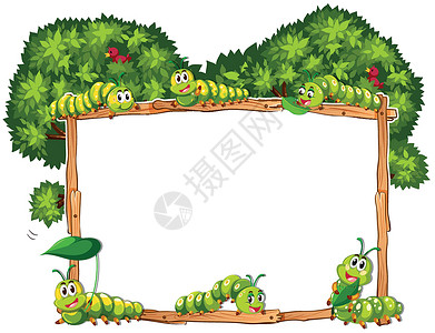 昆虫边框带绿色毛毛虫的边框模板插画
