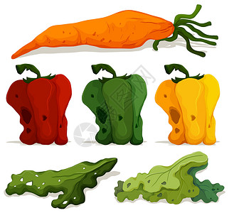 不同类型的腐烂蔬菜垃圾剪裁团体小路艺术绘画夹子倾倒辣椒收藏插画