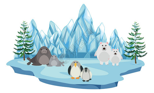 企鹅与海豹北极圈内的野生动物插画