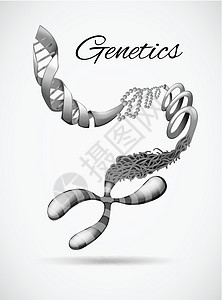 与遗传的科学符号背景图片