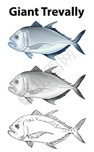 鲹科鱼巨型特雷瓦尔的涂鸦角色插画
