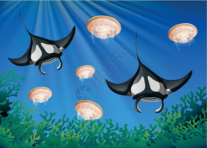 黄焖水鱼海洋下的蝠鲼和水母插画