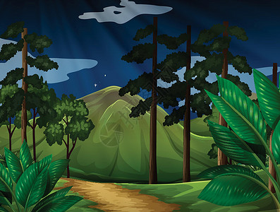 径山古道树木在森林中的背景场景插画