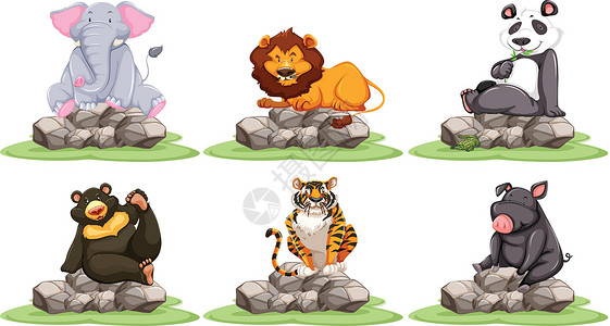 熊猫狮子老虎狗岩石上不同类型的野生动物插画