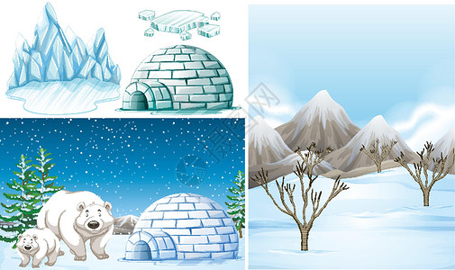雪原上的北极熊和冰屋高清图片