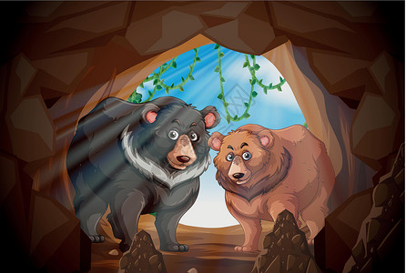 棕色石头两只熊在一个洞里插画