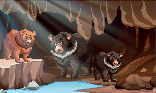 三只裸熊住在洞里的野熊插画