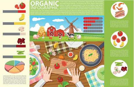 食品和有机食品的信息图表设计背景图片
