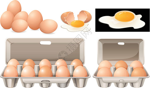 鸡蛋碎不同包装的生鸡蛋插画