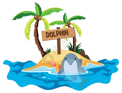 海豚岛与海豚和岛的场景插画