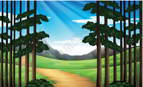 径山古道在森林中有远足径的背景场景插画