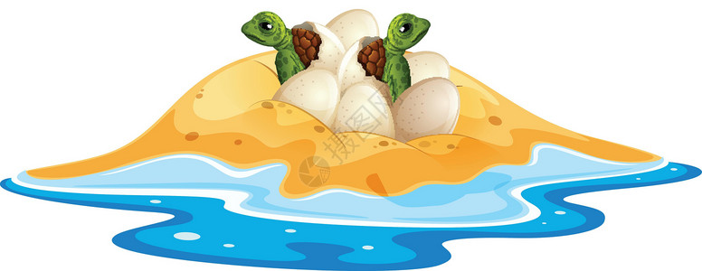 小海龟孵化 例如背景图片