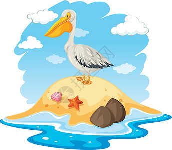 小海星小岛上的鹈鹕鸟插画