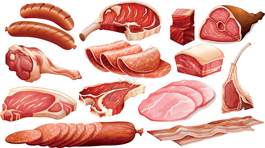 火腿香肠不同类型的肉制品插画
