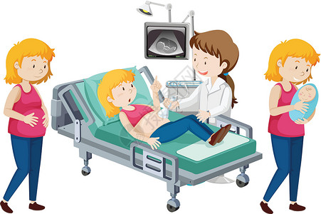 床婴儿妊娠进展的载体信息母性家庭女孩女性插图图表腹部夹子绘画插画
