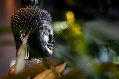 佩内达位于泰国热带酒吧内花园的布达佛像植物情调雕塑雕像数字异国佛教徒宗教背景