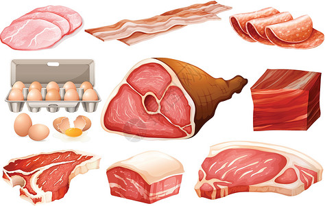 有机黑猪肉肉类产品的新鲜配料插画