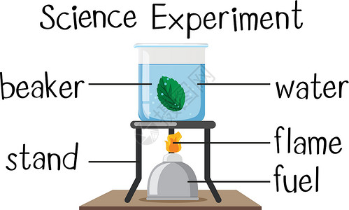 用沸叶进行科学实验;背景图片