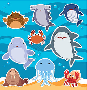 带有可爱海洋动物的贴纸设计背景图片