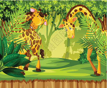 法森丛林丛林中的法拉菲绘画木头剪贴卡通片野生动物艺术动物哺乳动物插图夹子插画