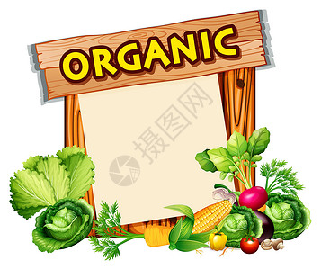 混合蔬菜的有机标志高清图片