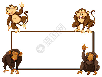 四只猴子边框模板插画