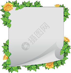 花和叶边框框架背景图片