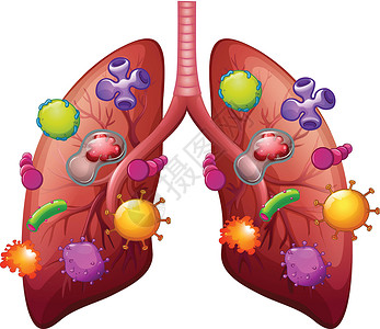 被细菌光线覆盖的肺部背景图片