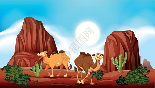 亚利桑沙漠中的岩山和骆驼插画