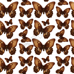 无缝模式的蝴蝶背景图片