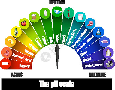 党性教育基地白色背景上的 pH 刻度碱性夹子意义绘画艺术中性插图图表卡通片科学插画