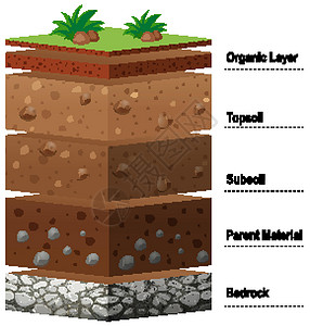 基岩地球上不同层的土壤设计图片
