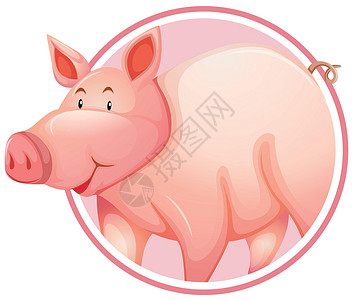 围圈旗帜中的猪绘画创造力圆圈艺术插图框架推介会动物贴纸卡片背景图片