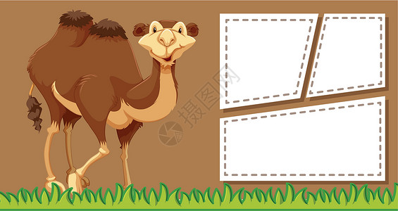 注意模板上的骆驼标签夹子艺术插图横幅绘画文档动物笔记框架背景图片