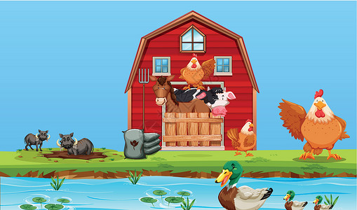 农村土鸡散养鸡开心农场动物场景设计图片