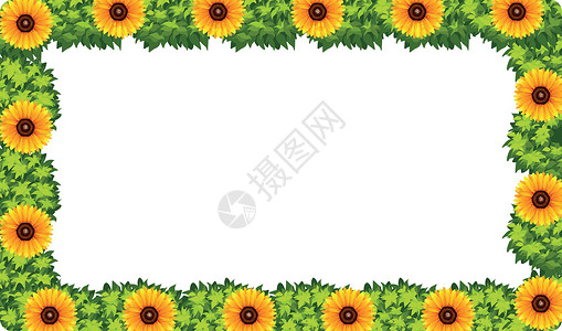 Sunfower 自然框架概念背景图片