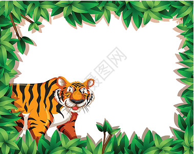 老虎自然框架边框背景图片