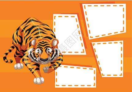 老虎笔记模板插图框架绘画动物艺术横幅标签文档夹子卡片背景图片