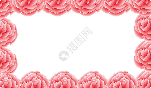粉色花朵框架粉色康乃馨花框插画