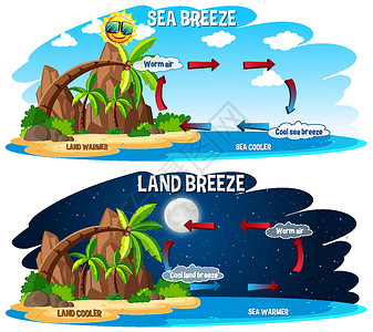 海陆风科普海报设计意义风景绘画教育微风植物图表海洋自行车科学背景图片
